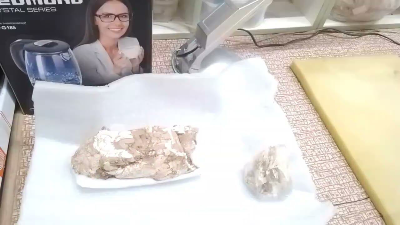 Череп верблюда из экспедиции в Таджикистане, которому 2,5 миллиона лет смотреть онлайн