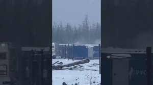 Медведь напал на вахтовиков в Якутии на месторождении