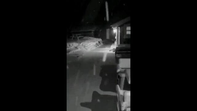 Воспоминания
