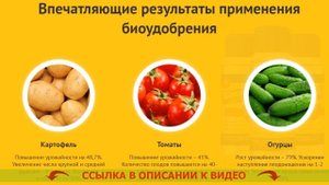 ❌ Биоград средство от сорняков инструкция ? Биогард от сорняков отзывы цена