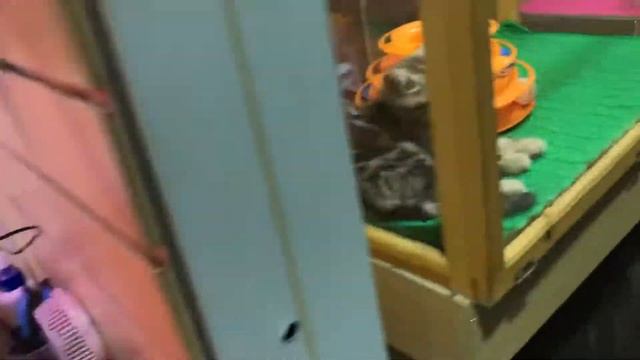 Мэйкуны смотреть онлайн