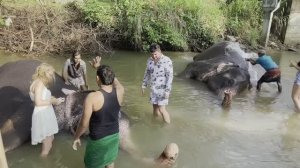 Шри-Ланка 2022! Скала Пидерангала! Сигерия! Золотой храм Дамбулла!