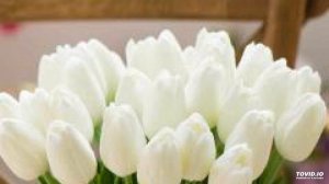 Элина Муртазова - Хьан амат