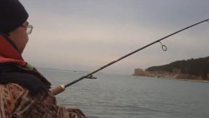 Поймал крупного сазана на спиннинг. Река Обь. Рыбалка в Спирино.