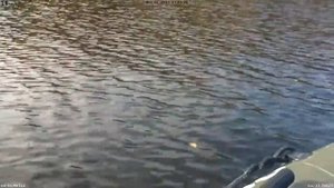замер скорости хидеа 5 нордик 290 лт