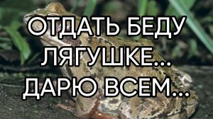 ОТДАТЬ БЕДУ ЛЯГУШКЕ...ДАРЮ ВСЕМ....