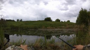 Ловля карася на БОЛОТЕ! Рыбалка на удочку весной!