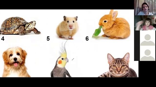 2021.01.27 Дистанционное занятие Creative English средняя группа смотреть онлайн