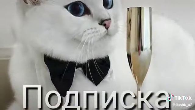 Твоё животное в будущем смотреть онлайн