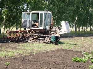Tractor T-70cm inter-row cultivation of sugar beet /// Трактор Т-70СМ междурядная обработка
