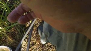 #плотва #рыбалка  #поплавок #весенняярыбалка   Весенняя рыбалка. Клев плотвы. Рыбалка на поплавок.