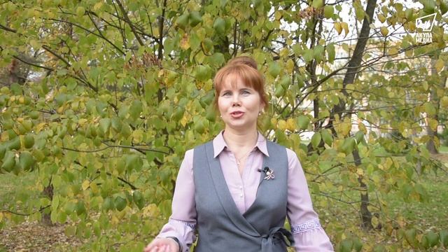 «Бизнес-Арс». Осенние стихи смотреть онлайн