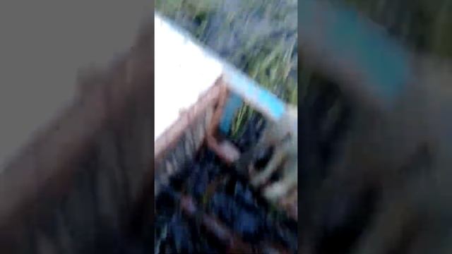 катаем по болоту, самодельный вездеход гусеничный,мини болотоход, каракат, смотреть онлайн