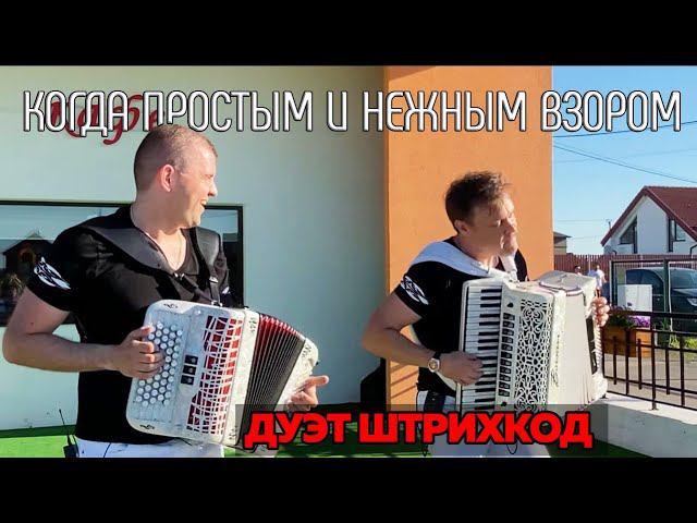 Дуэт аккордеонистов "Штрихкод" Когда простым смотреть онлайн