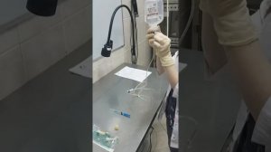 Как поставить в/в капельницу животному