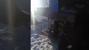 iseki rbx850 пресс подборщик
