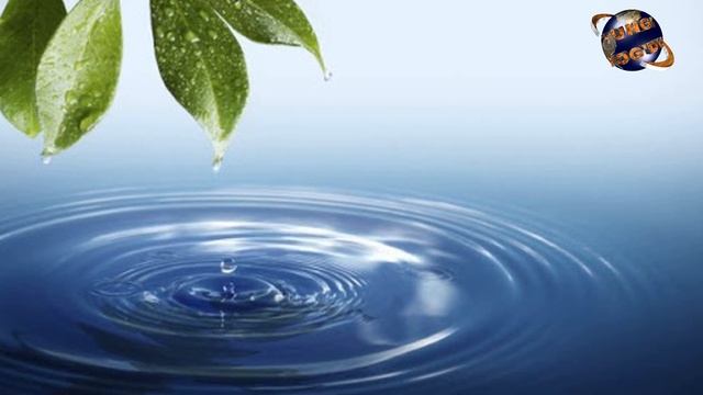 2 Марта Қайнатилган сувни ичсангиз кўринг нима бўлади смотреть онлайн