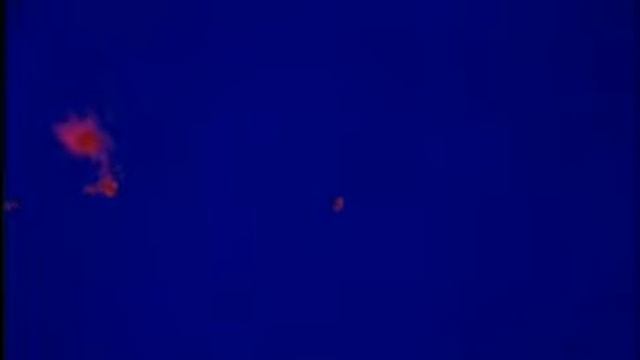 Клопы постельные Как от них избавиться Barbazoni com смотреть онлайн