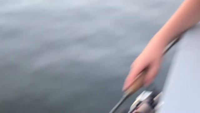 Мормышинг на Истре. Июль"21. Судак