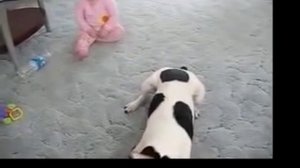 Ребенок кусает собаку!