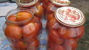 Помидоры в снегу. Очень вкусные и сладкие!!!