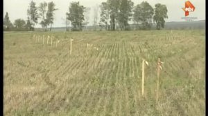 Эльвире Гардановой вынесли приговор
