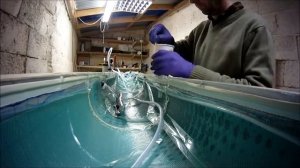 [10] Инфузия смолы в обшивку хвостового отсека - Проект Фила Ларднера Карбоновый дракон