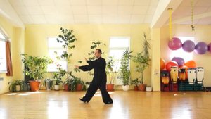 24 формы тайцзицюань стиль Ян (вид спереди)