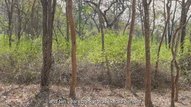 Communities and Sustainability