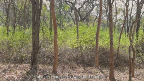 Communities and Sustainability