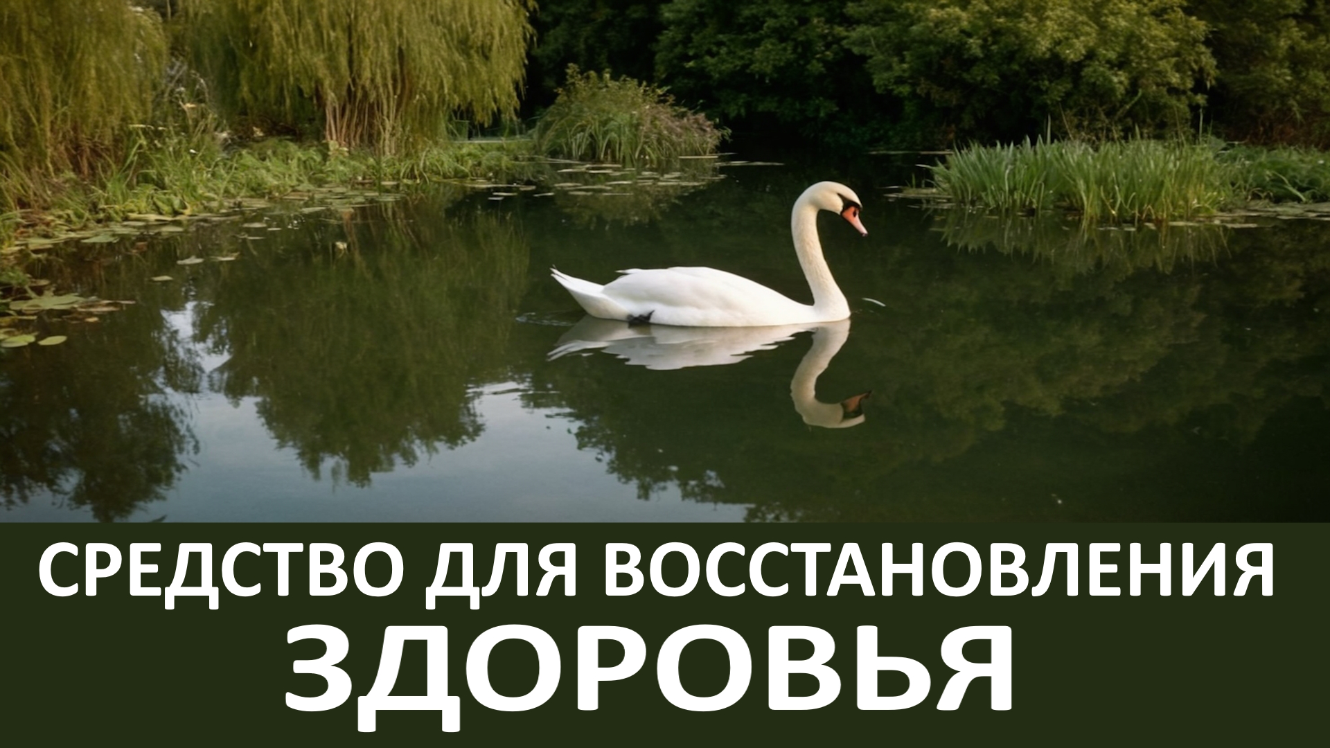 СРЕДСТВО ДЛЯ ВОССТАНОВЛЕНИЯ ЗДОРОВЬЯ