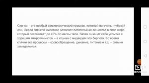Почему медведи и ежи уходят в зимнюю спячку