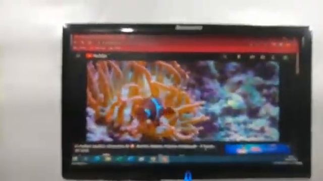 Monitor Lcd Lenovo D1960wa 4425-hb1 18.5 Pl C/detalhes Z1198 смотреть онлайн