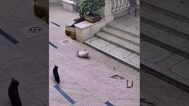 Забыл куда шел