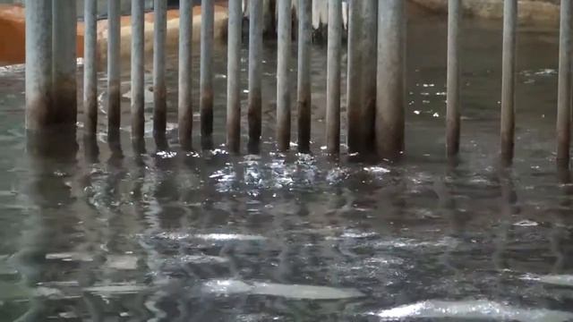 Шёнбрунн-Бегемоты смотреть онлайн