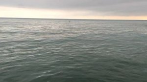 Чёрное море. Пляж Ставрополье. Мамайка, Сочи. 20.06