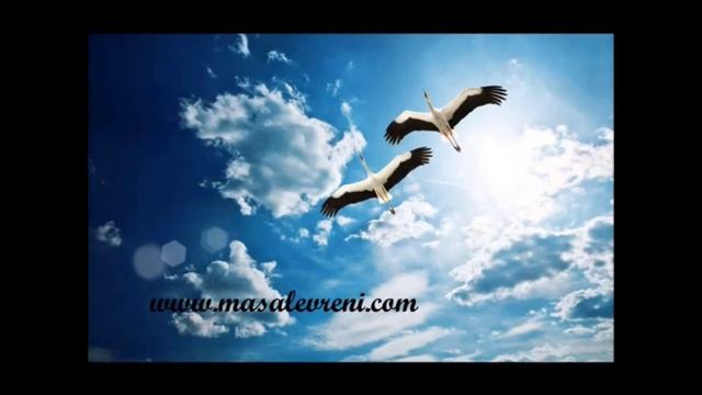 26 мая - день рождения поэта-земляка Н. Белянского смотреть онлайн