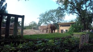 Город в котором есть почти всё. Гуанчжоу за 5 минут