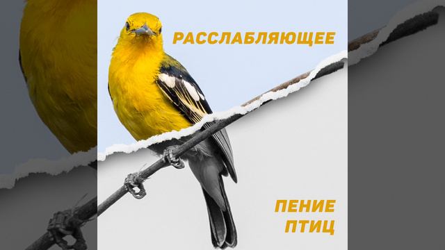 Время медитации смотреть онлайн