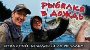 Отводной поводок спас рыбалку! | Жерех, судак и окунь на спиннинг в дождь | Спиннинг с берега