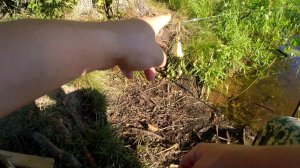 Дедовская Снасть Отрабатывает На Все 100%! В Погоне За Карпом!