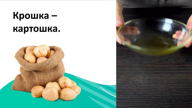 видео картошка