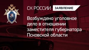 Возбуждено уголовное дело в отношении заместителя губернатора Псковской области