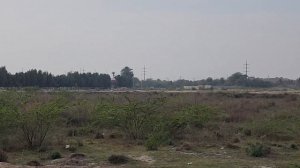 Samsung Galaxy S23 Plus Zoom Test