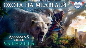 ОХОТА НА МЕДВЕДЕЙ | Assassin’s Creed Valhalla | Прохождение #4