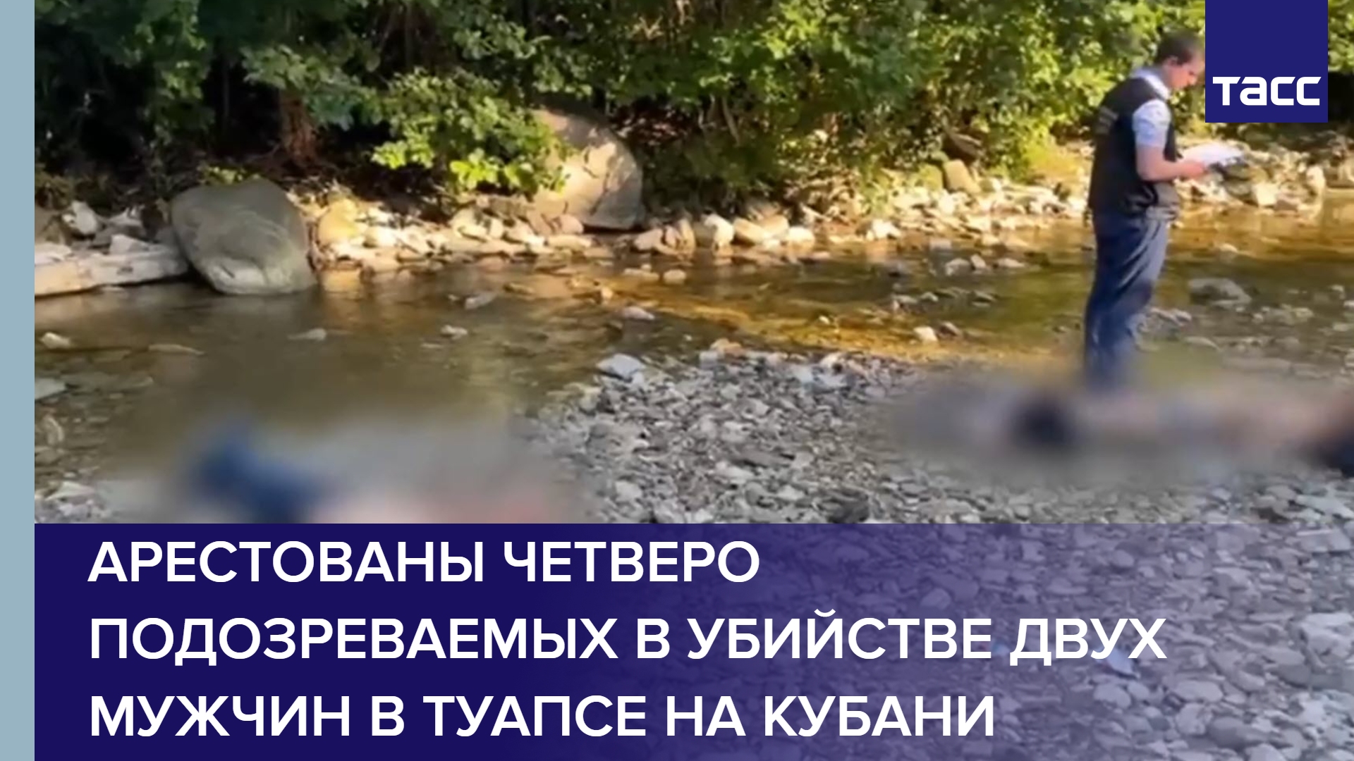 Арестованы четверо подозреваемых в убийстве двух мужчин в Туапсе на Кубани #shorts