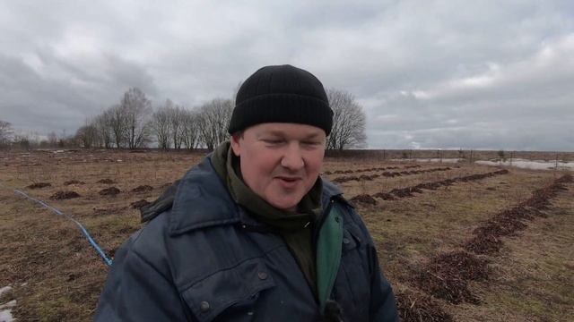 Первые работы на голубике смотреть онлайн