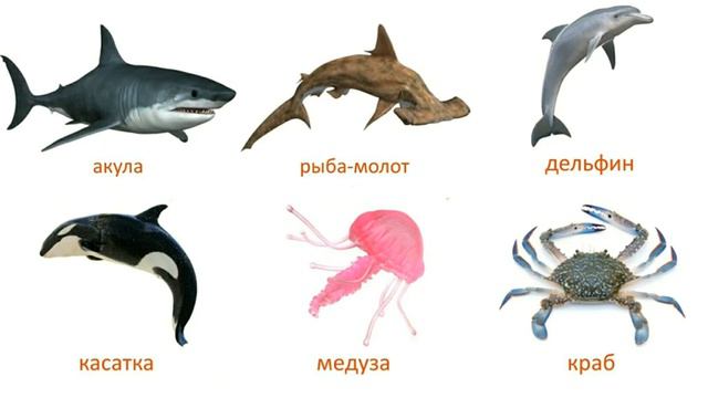 Мешканці океанів смотреть онлайн