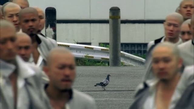 MV Crows Zero