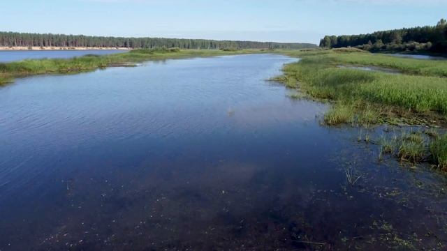 Приток реки Мологи Малая Липенка, Вологодская область смотреть онлайн